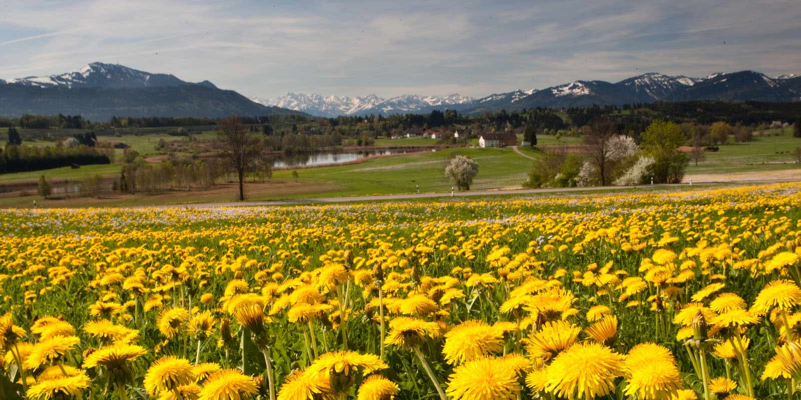 Bild Wander- und Radwege